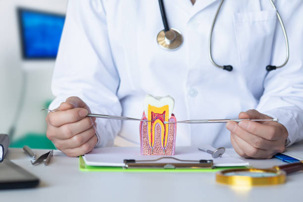 Dentist for Dental Trauma in VA